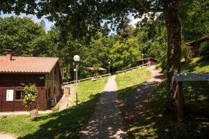 Príroda v okolí apartmánu