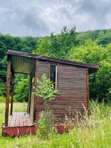 a small wooden cabin in a field of grass at Retreat în padure in Buchin