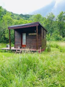 una pequeña cabaña de madera en un campo de hierba en Retreat în padure, en Buchin