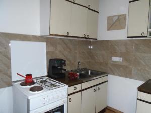 a small kitchen with a stove and a sink at Guest house Limes in Zatonje