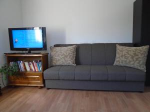 uma sala de estar com um sofá cinzento e uma televisão em Guest house Limes em Zatonje