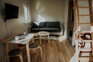 ein Wohnzimmer mit Sofa, Tisch und Stühlen in der Unterkunft Wolf Cottage in Pabaži