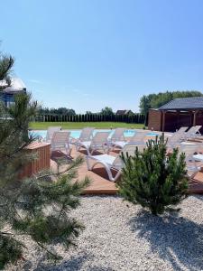 a row of lounge chairs sitting next to a pool at Domki Zalesie in Jarosławiec