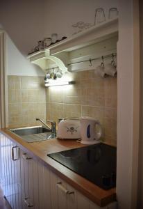 a kitchen with a sink and a toaster on a counter at Helikon 32 Apartman Keszthely in Keszthely