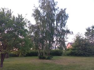 Fotografie z fotogalerie ubytování Eco zacisze v destinaci Kolonia Szpaki