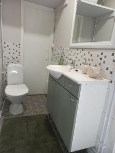 La salle de bains est pourvue d'un lavabo blanc et de toilettes. dans l'établissement Punainen pihatorppa Hauholla, à Alvettula