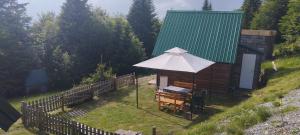 een houten hut met een tafel en een parasol bij KOMOVI- kobildo SMJESTAJ in Andrijevica