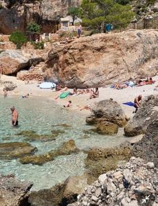 a group of people in the water at a beach at Apartmani Kerum in Jelsa