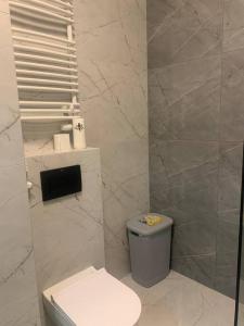 een badkamer met een toilet en een vuilnisbak bij Comfort18 in Bydgoszcz