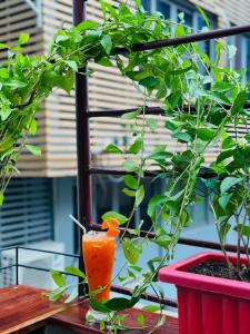 um vaso sentado numa mesa ao lado de uma planta em T Zone Hostel em Ho Chi Minh