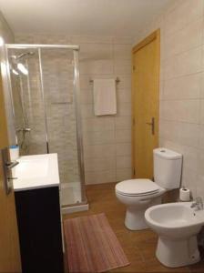 a bathroom with a toilet and a shower and a sink at Casas do Penedo Lajão - Casa das Cerejas in Paredes de Coura