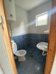 a bathroom with a toilet and a sink at Villa Đeković in Čanj +19 photos