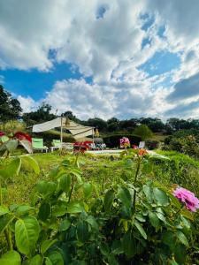 un campo di fiori con una tenda sullo sfondo di Casa rural La Frambuesa a Galaroza