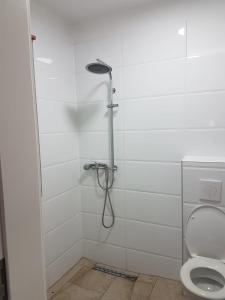 a shower in a bathroom with a toilet at ByTy 3 in Gransee