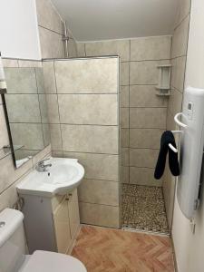 W łazience znajduje się prysznic, umywalka i toaleta. w obiekcie La Forestière Pigeonnier w mieście Monclar-de-Quercy