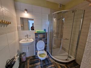 a bathroom with a shower and a toilet and a sink at Willa pod Krokodylem in Łeba