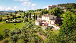 an aerial view of a house on a hill with trees at Podere "la svolta" in Chianni