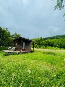 una pequeña cabaña en un campo de césped verde en Retreat în padure, en Buchin