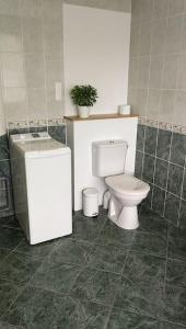 a bathroom with a toilet and a sink at Appartement calme et climatisé au cœur du village in Brazey-en-Plaine