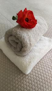 a red flower sitting on top of a towel at Appartement calme et climatisé au cœur du village in Brazey-en-Plaine