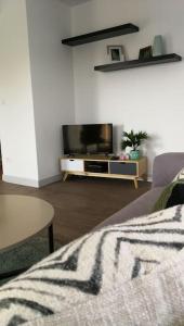 a living room with a couch and a tv at 555 Appartement calme et climatisé au cœur du village in Brazey-en-Plaine