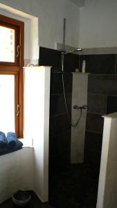 een badkamer met een douche en een glazen deur bij Ferienwohnung Fuchsberge in Letschin