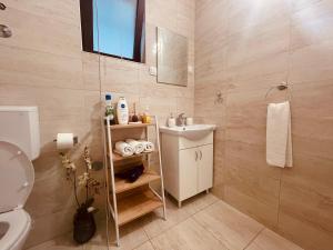 ein Badezimmer mit Waschbecken und Toilette in der Unterkunft Apartments Four Countesses in Virpazar + 37 Fotos