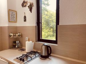 a kitchen counter with a stove and a window at Apartments Four Countesses in Virpazar