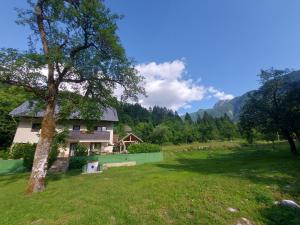 une maison dans un champ avec un arbre dans l'établissement Apartmaji Katrč, à Vallée de la Soča