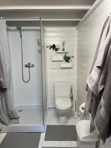 a small bathroom with a toilet and a shower at Piejūras Kaķīšu namiņš in Ķesterciems