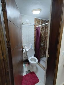 a small bathroom with a toilet and a shower at Petra downtown house in Wadi Musa