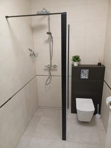 uma casa de banho com um chuveiro e um WC. em Apartament Baltic Garden Sztutowo em Sztutowo