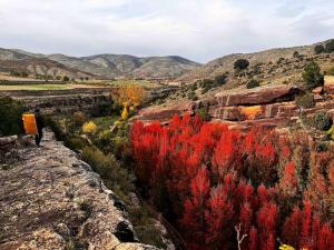 a person walking on a rocky hill with red bushes at Casa rural Hitohouse Bed&Climb in Albarracín