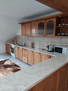 Kuchyň nebo kuchyňský kout v ubytování Apartmán Tatiana