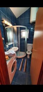 uma casa de banho com um chuveiro, um lavatório e um WC. em Apartmani Paulino em Herceg Novi