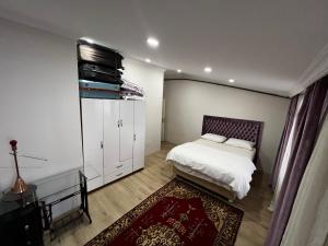 - une chambre avec un lit, une armoire et un tapis dans l'établissement Amazing 1 bedroom penthouse apartment with large terrace in Sisli, à Istanbul