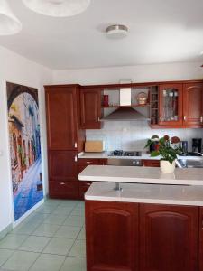 a kitchen with wooden cabinets and a counter top at Apartman 4 in Rijeka