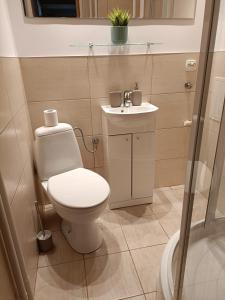 uma casa de banho com um WC e um lavatório em Apartament Baltica Nawigator em Gdynia