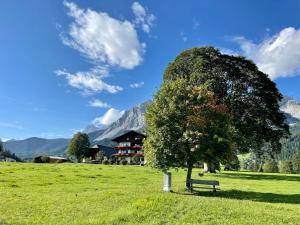 un banco bajo un árbol en un campo con una casa en Pension Möslehnerhof en Ramsau am Dachstein