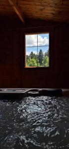 una camera con finestra e piscina di Apartment Tonica a Lokve (Loqua)