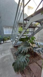 a group of plants in front of a building at Namiva lll in Cordoba