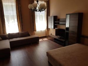 - un salon avec un canapé et une télévision dans l'établissement Stylish historic flat for 4 in heart of OldBuda, à Budapest