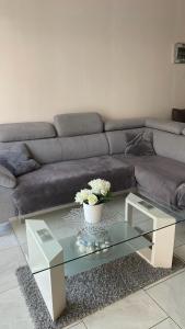 a living room with a couch and a glass coffee table at Chez Sabine et Pascal in Meyzieu