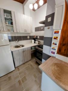 La cuisine est équipée d'un réfrigérateur blanc et d'un évier. dans l'établissement Apartment Malvina, à Mali Lošinj