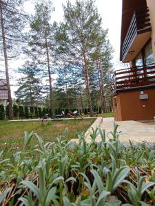 Сад в Planinska dolina