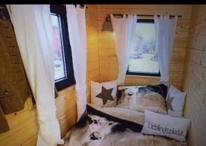 een bed in een kamer met 2 ramen bij Bio Kinder Erlebnis Bauernhof Voit in Söchtenau
