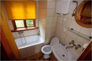 ein Badezimmer mit einem WC, einem Waschbecken und einer Badewanne in der Unterkunft Dowcień in Burdeniszki