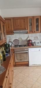 Kuchyň nebo kuchyňský kout v ubytování Villa Janković