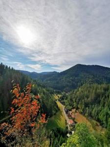 een uitzicht op een vallei met bomen en een weg bij Wellness zur Alleinnutzung mit Ferienwohnung und Fitnessbereich - fitSPA in Sulz am Neckar