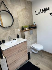 een badkamer met een wastafel, een toilet en een spiegel bij Gite Le Long de l'eau in Long